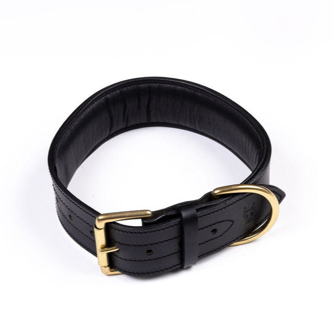 Agitation Collar Leather Protection Dog Collar Ottawa – K9 ODYSSEY