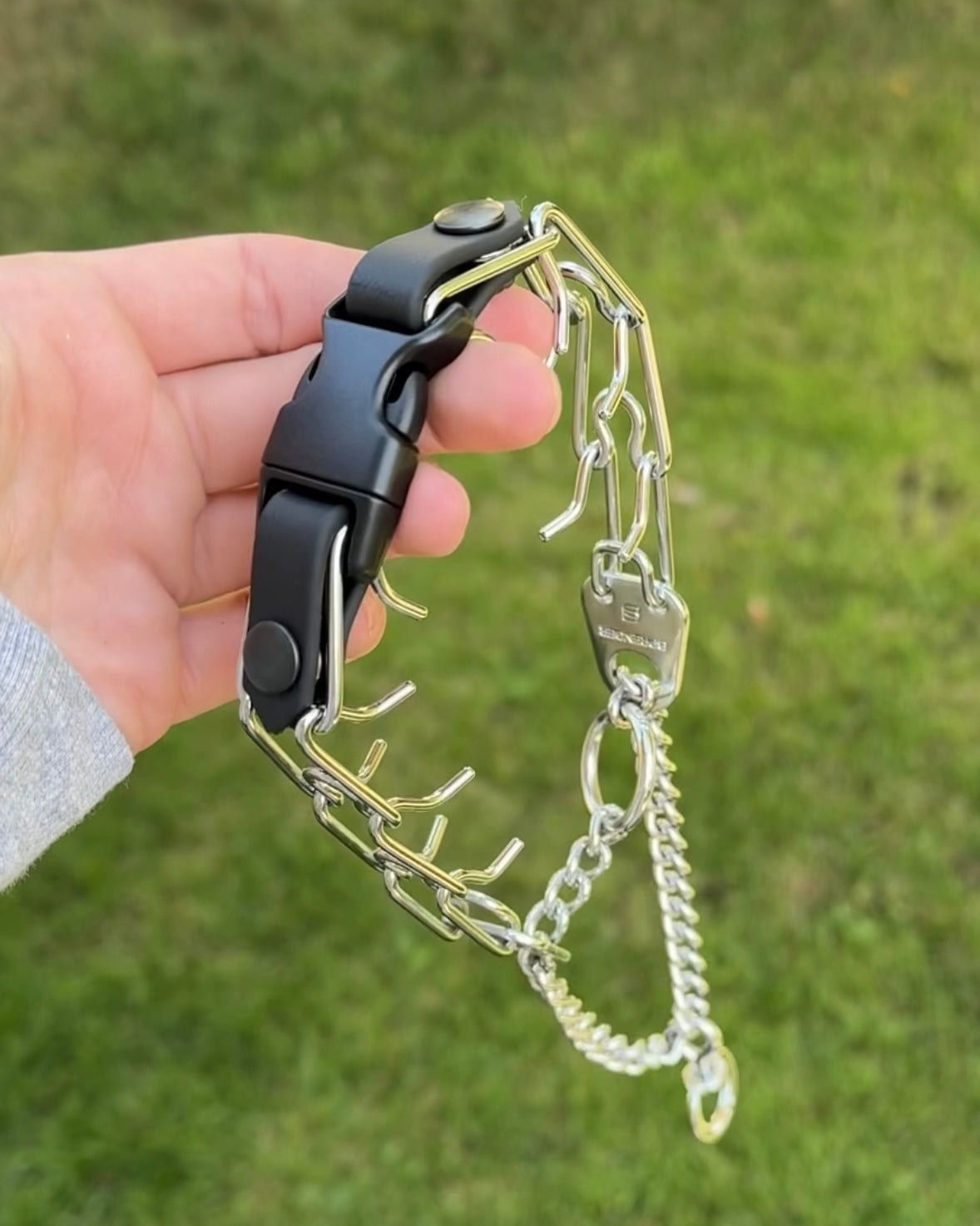 The Prong Clip