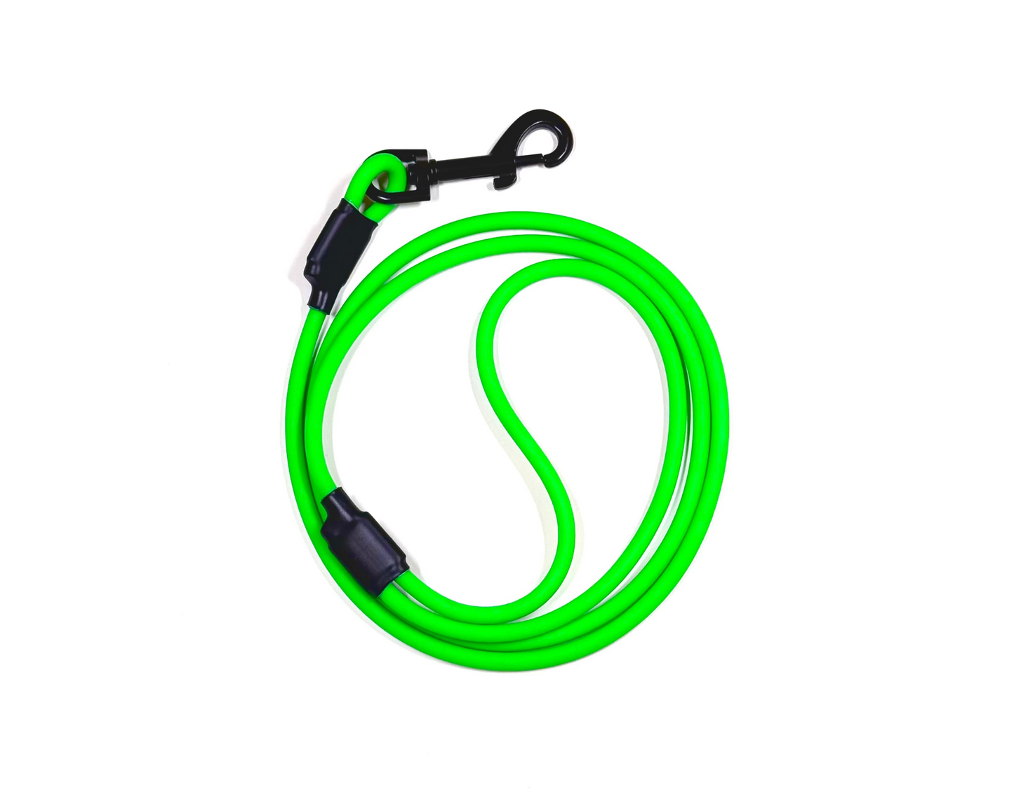 The Training Leash