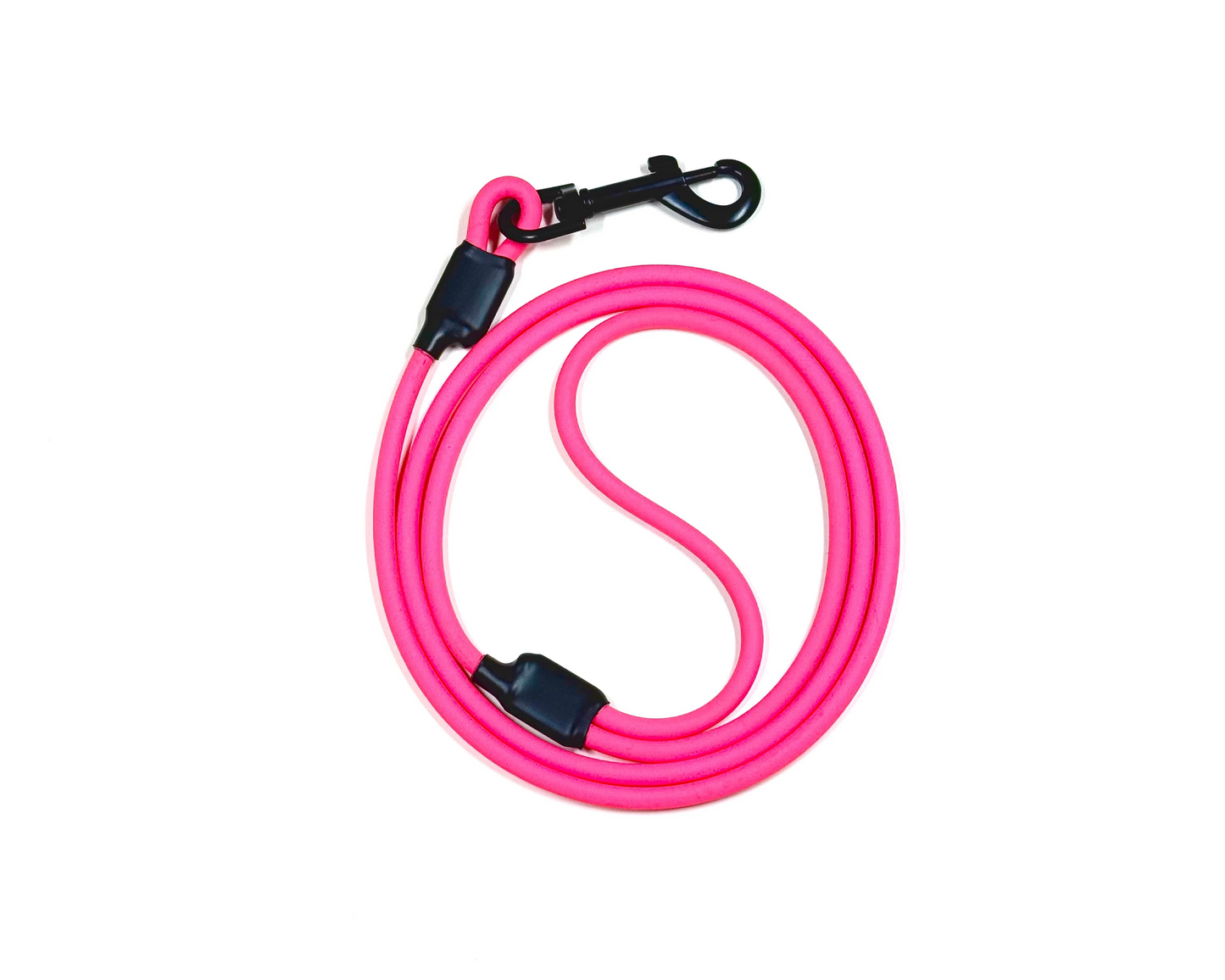 The Training Leash