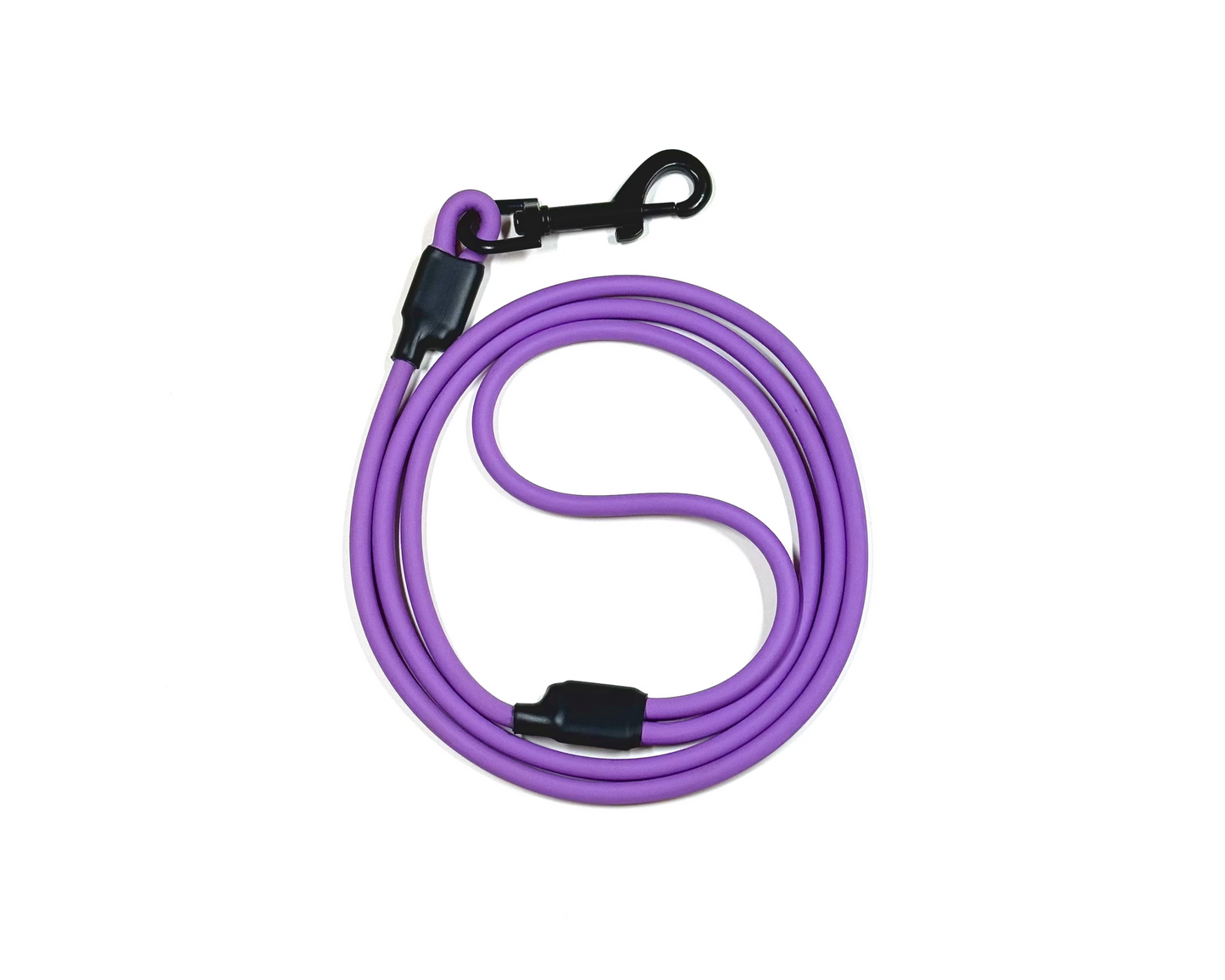The Training Leash