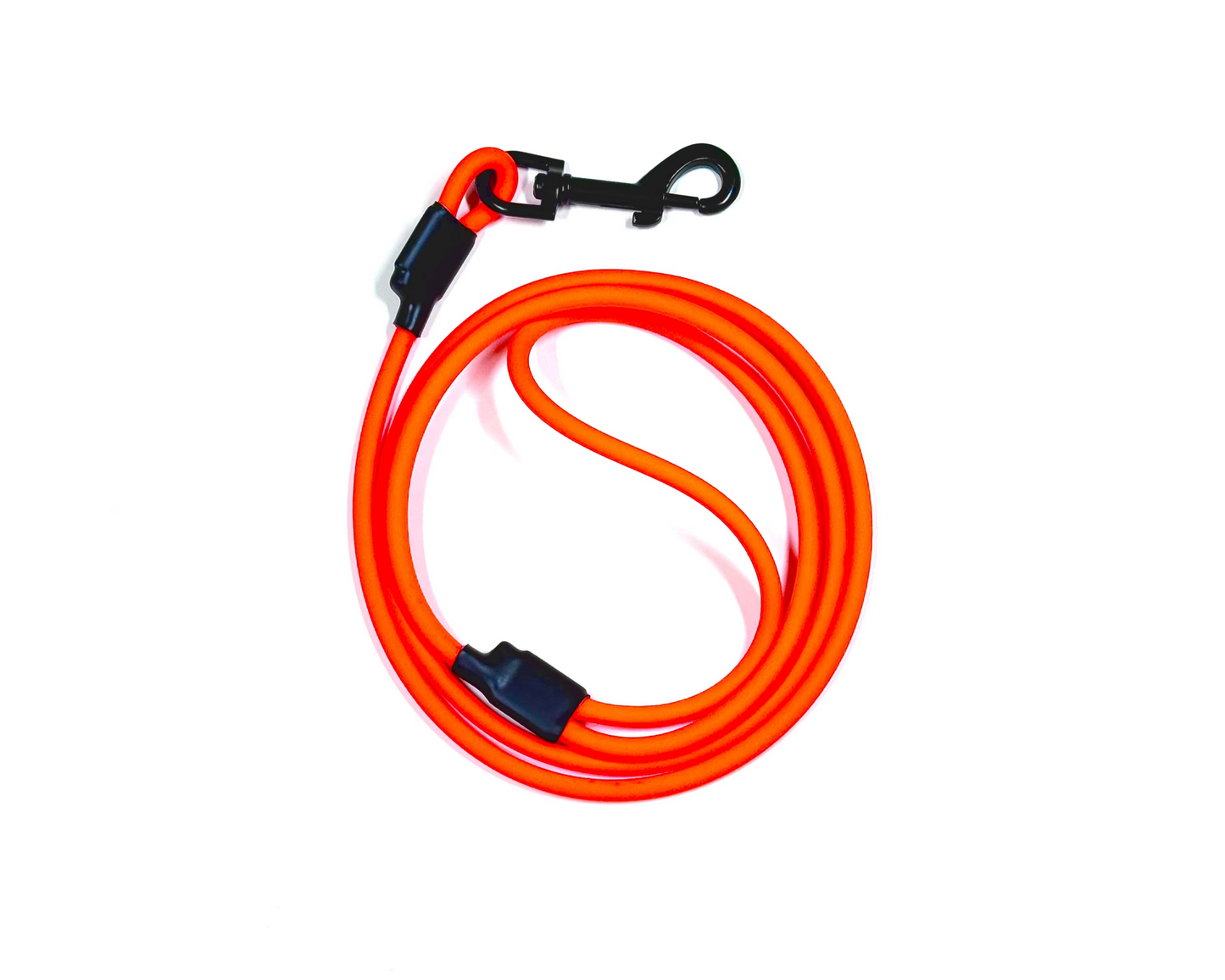 The Training Leash