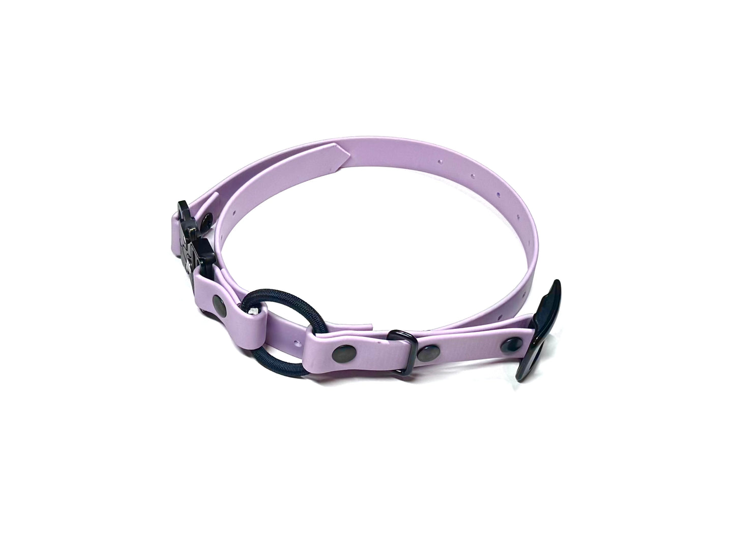 The E-Collar Strap 2.0