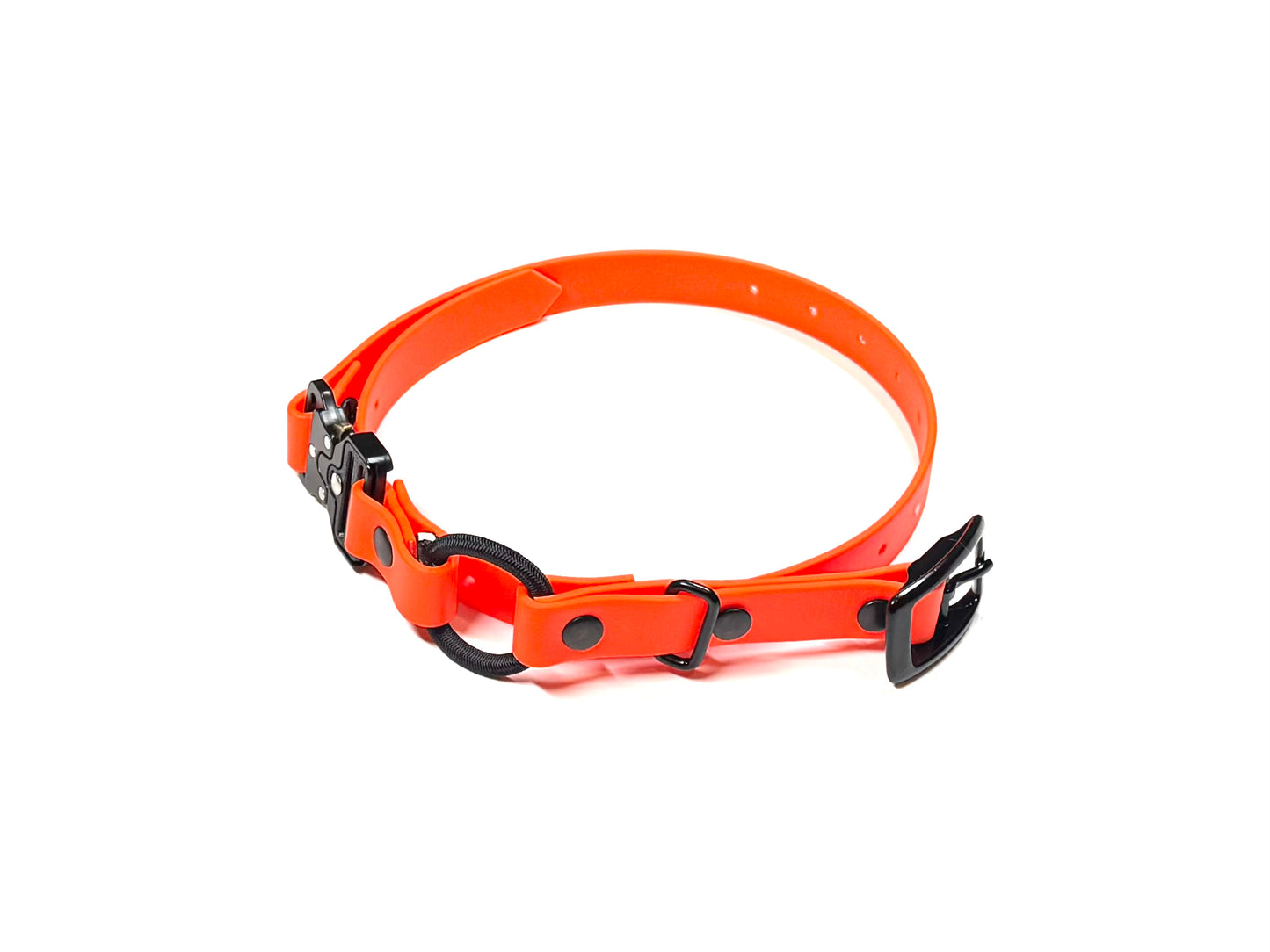 The E-Collar Strap 2.0