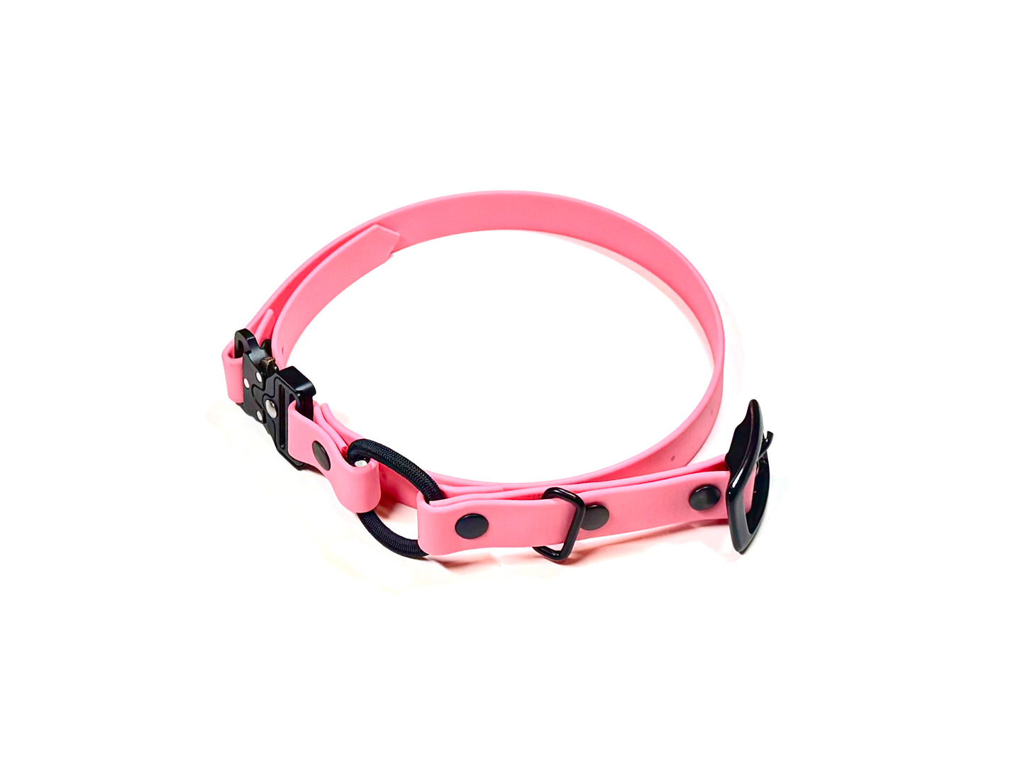 The E-Collar Strap 2.0