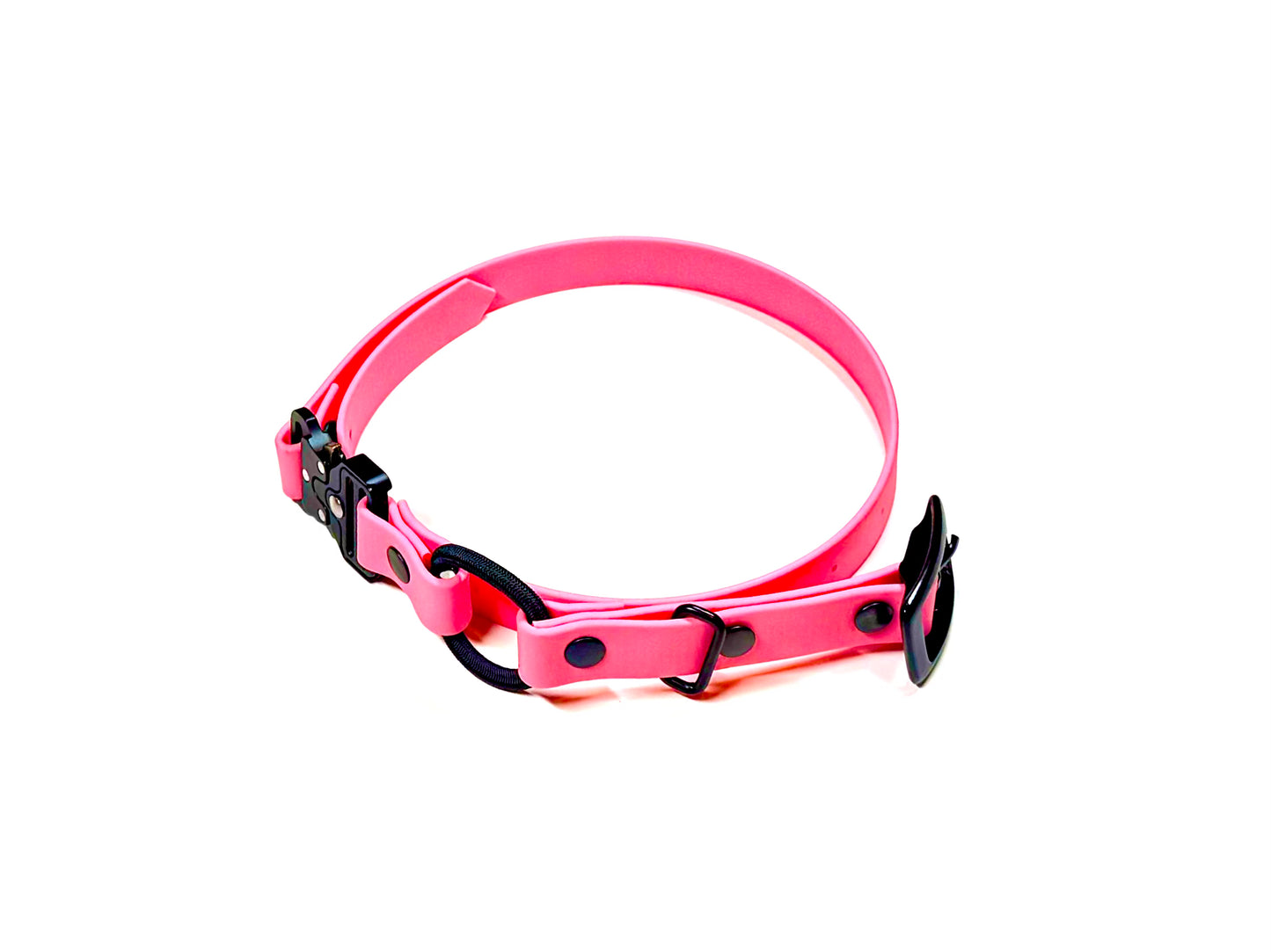 The E-Collar Strap 2.0