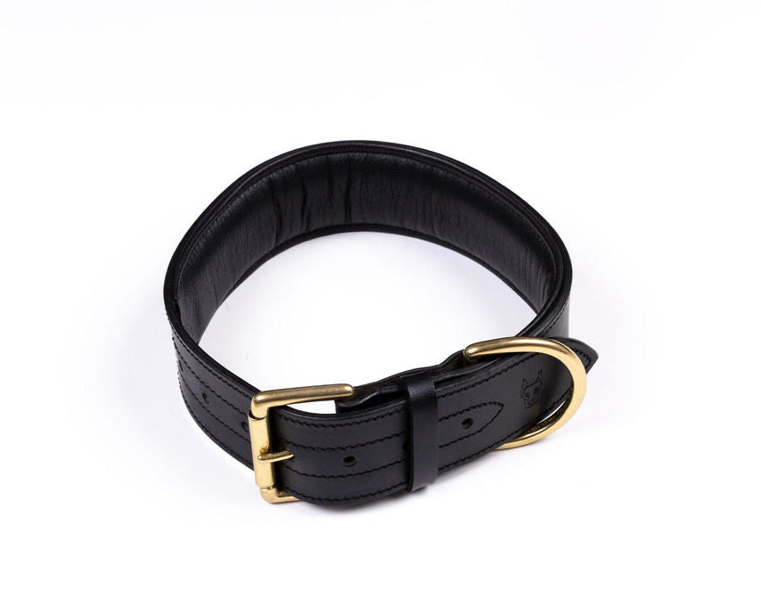 The Agitation Collar