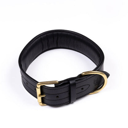 The Agitation Collar