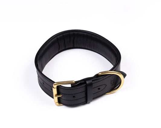 The Agitation Collar