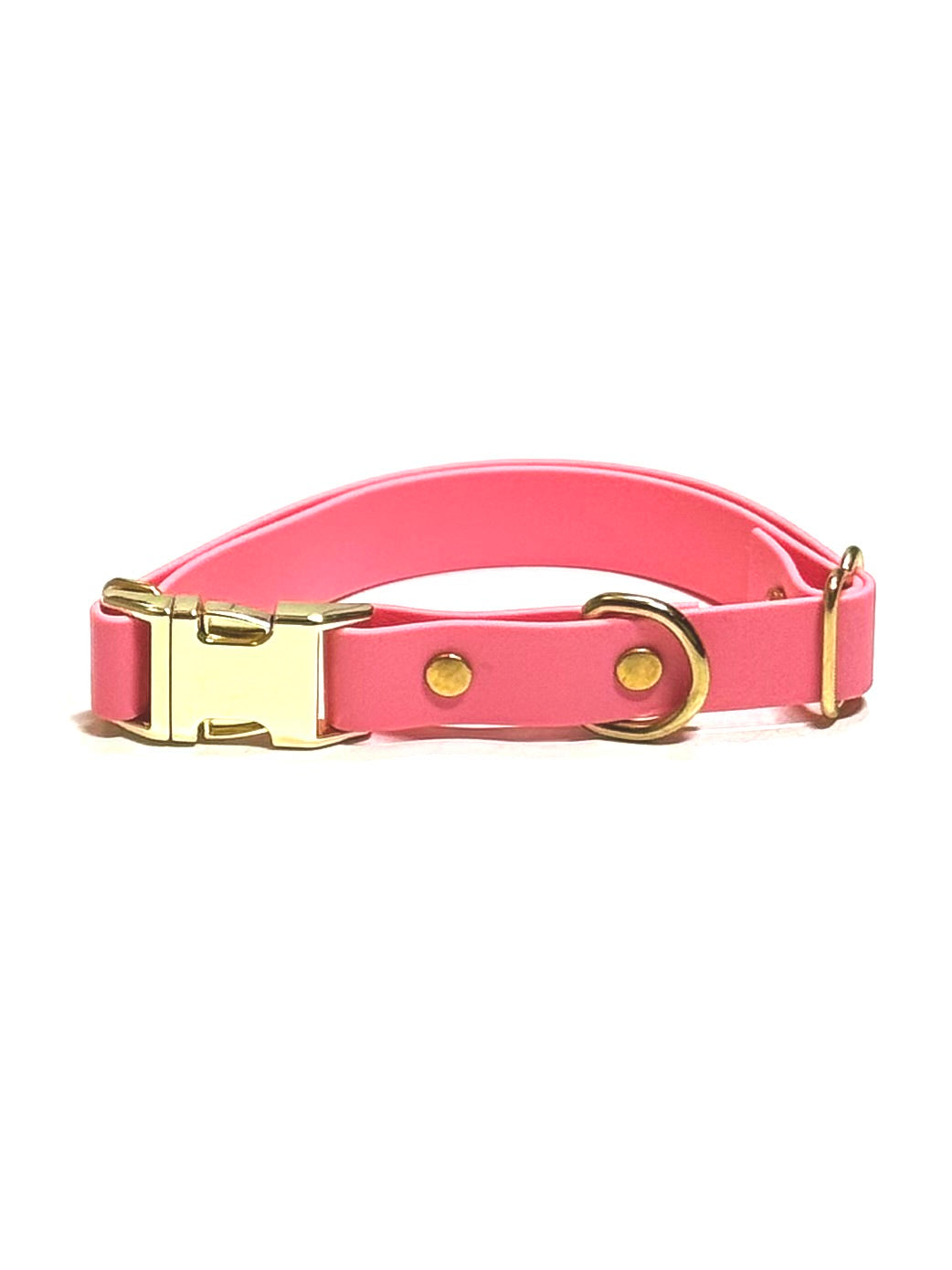 Dog Collars