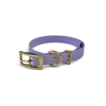 The Classic Collar