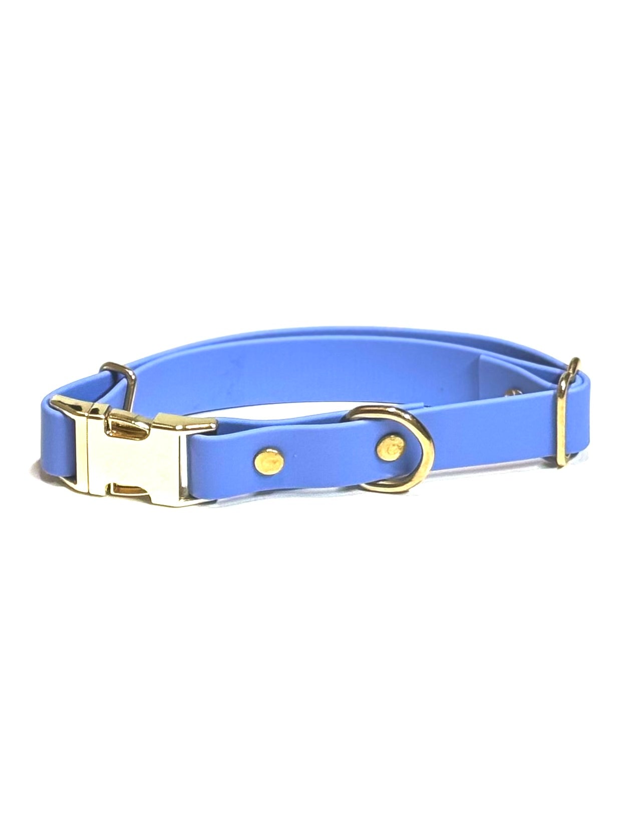 Dog Collars