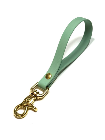 Dog Collars Leashes