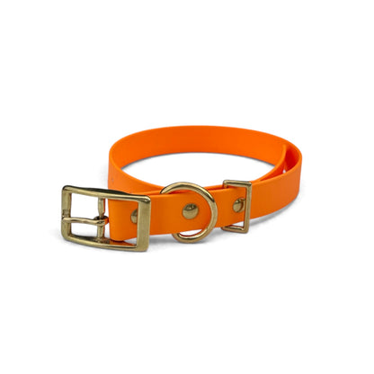 The Classic Collar