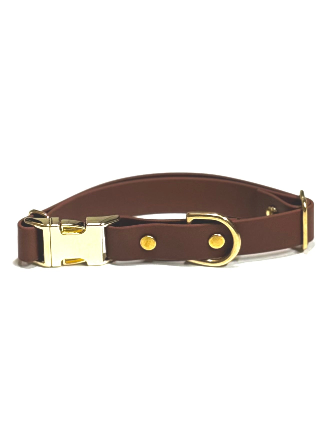 Dog Collars