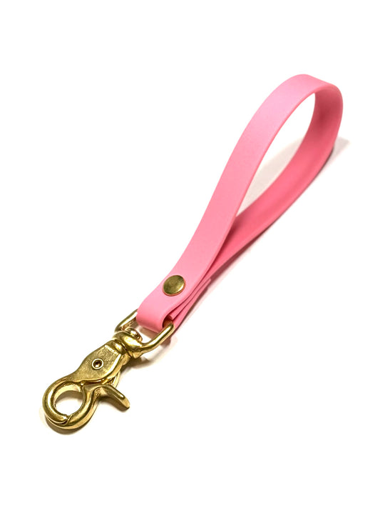 Dog Collars Leashes