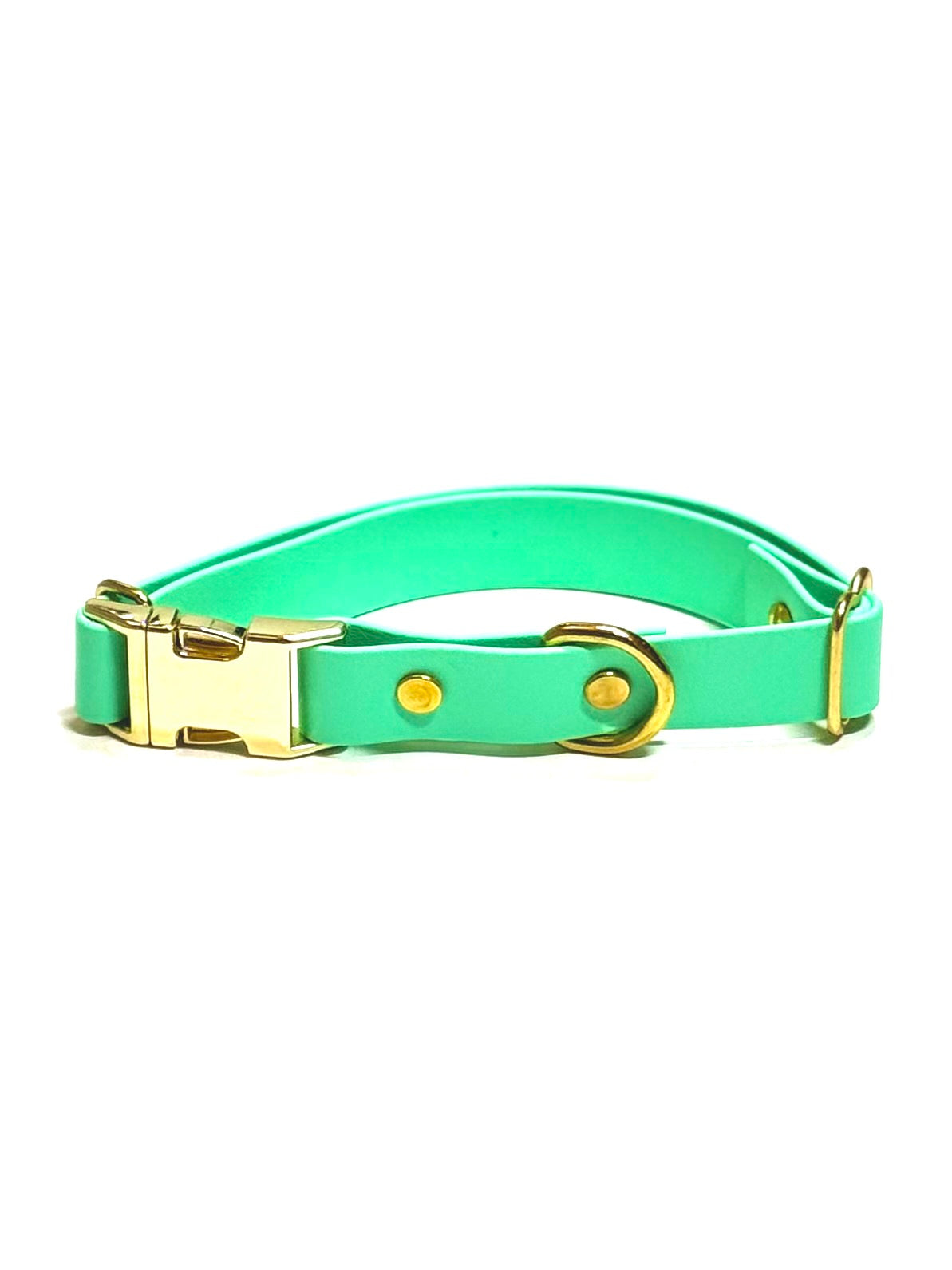 Dog Collars