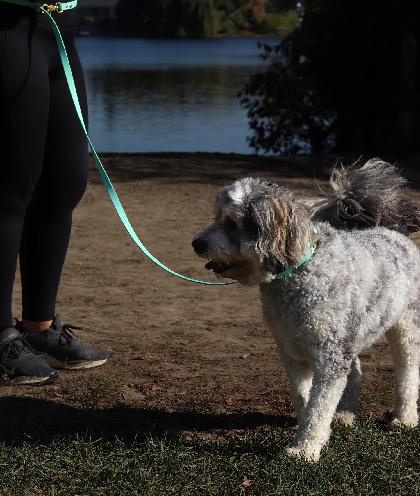 The Handsfree Leash