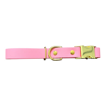 The Everyday Collar
