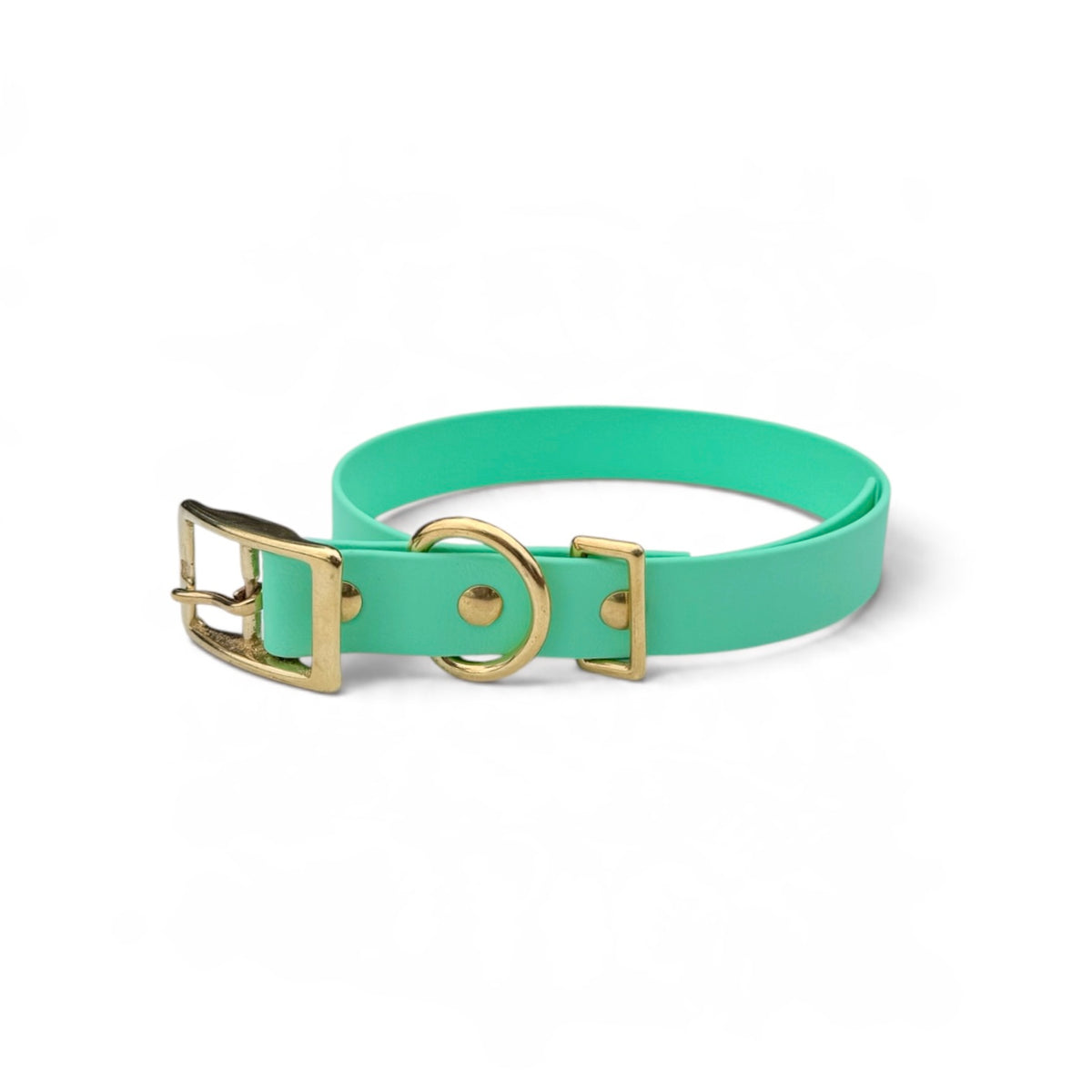 The Classic Collar