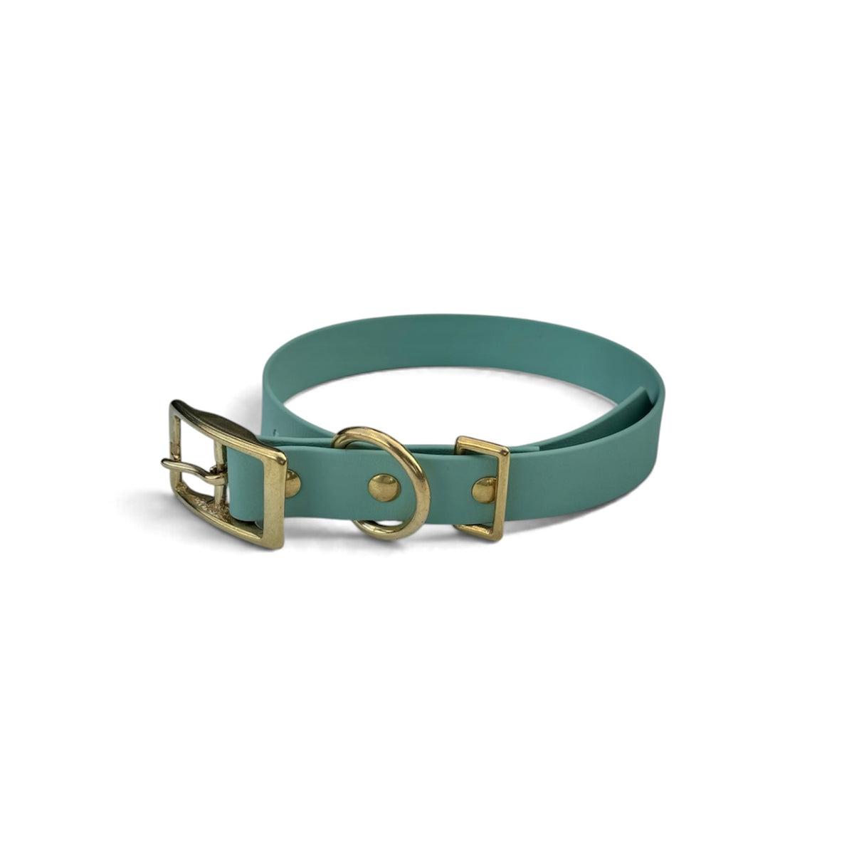 The Classic Collar