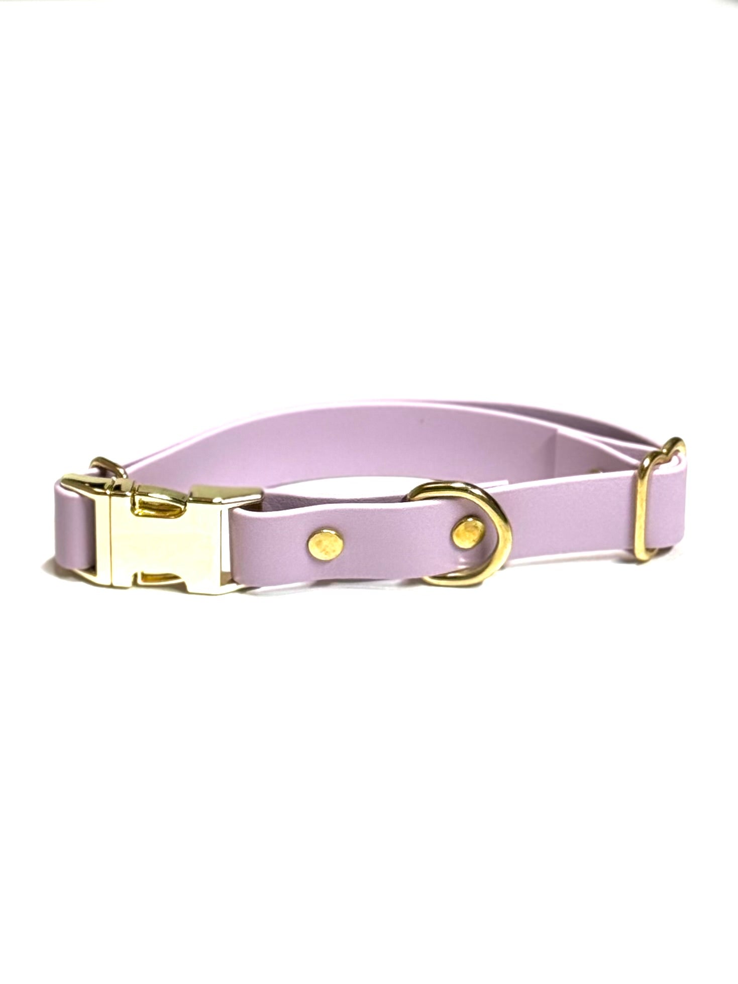 Dog Collars