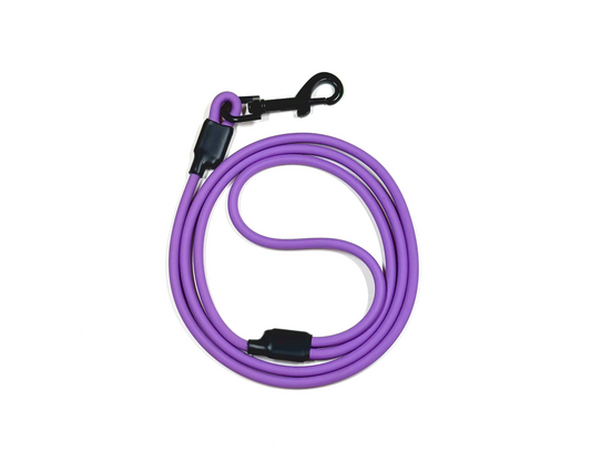 The Training Leash