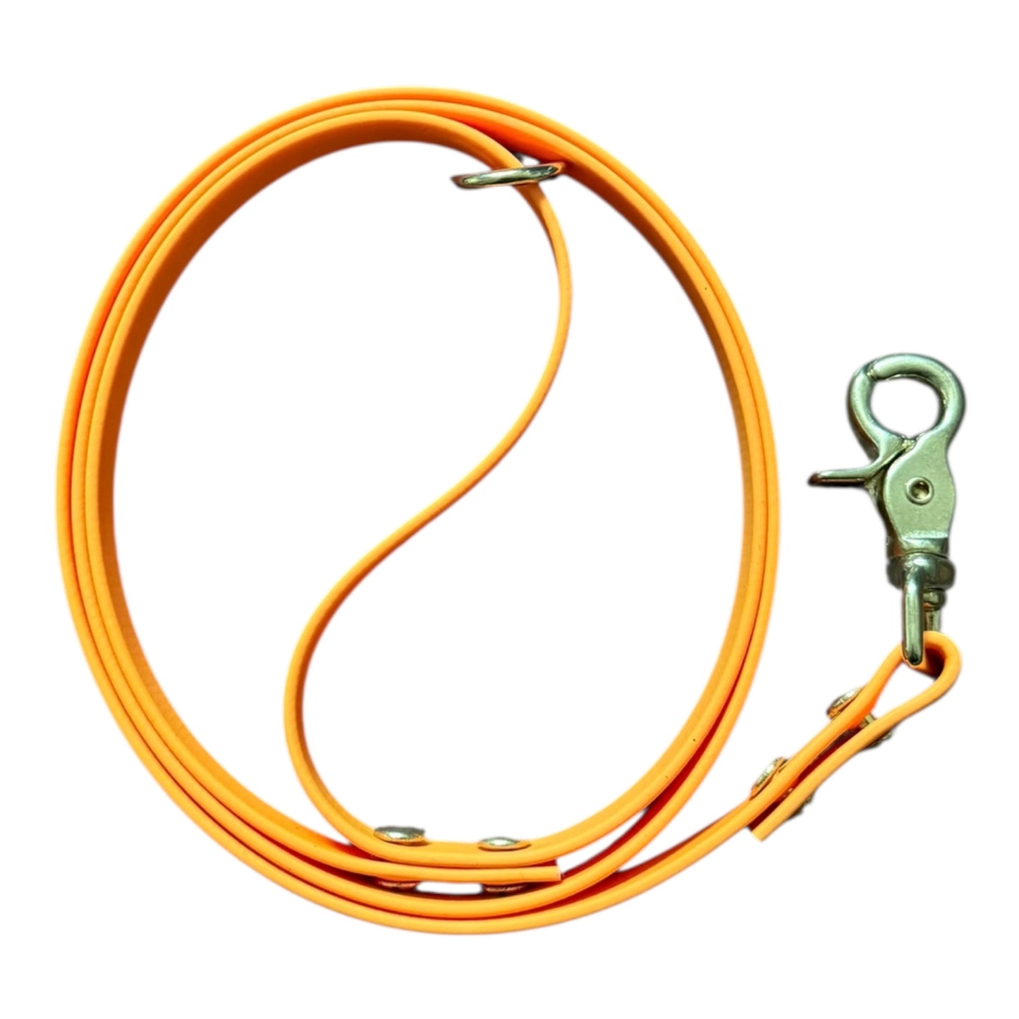 The Original Leash
