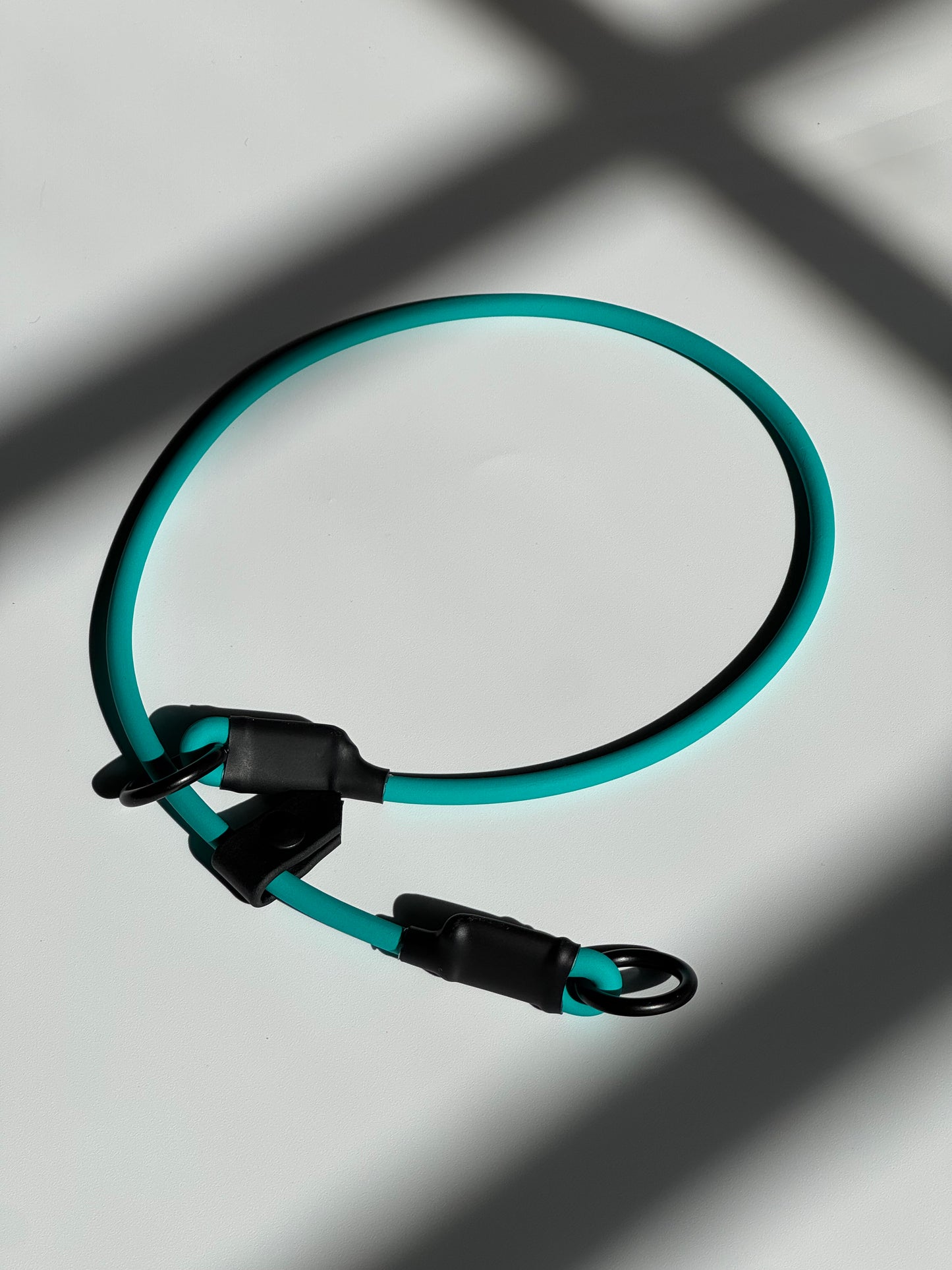 The Dominant Dog Collar