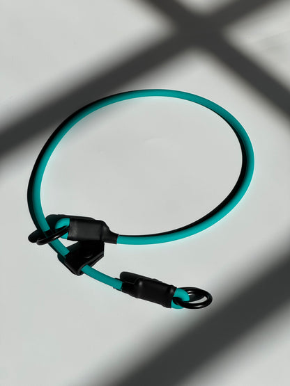The Dominant Dog Collar