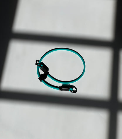 The Dominant Dog Collar