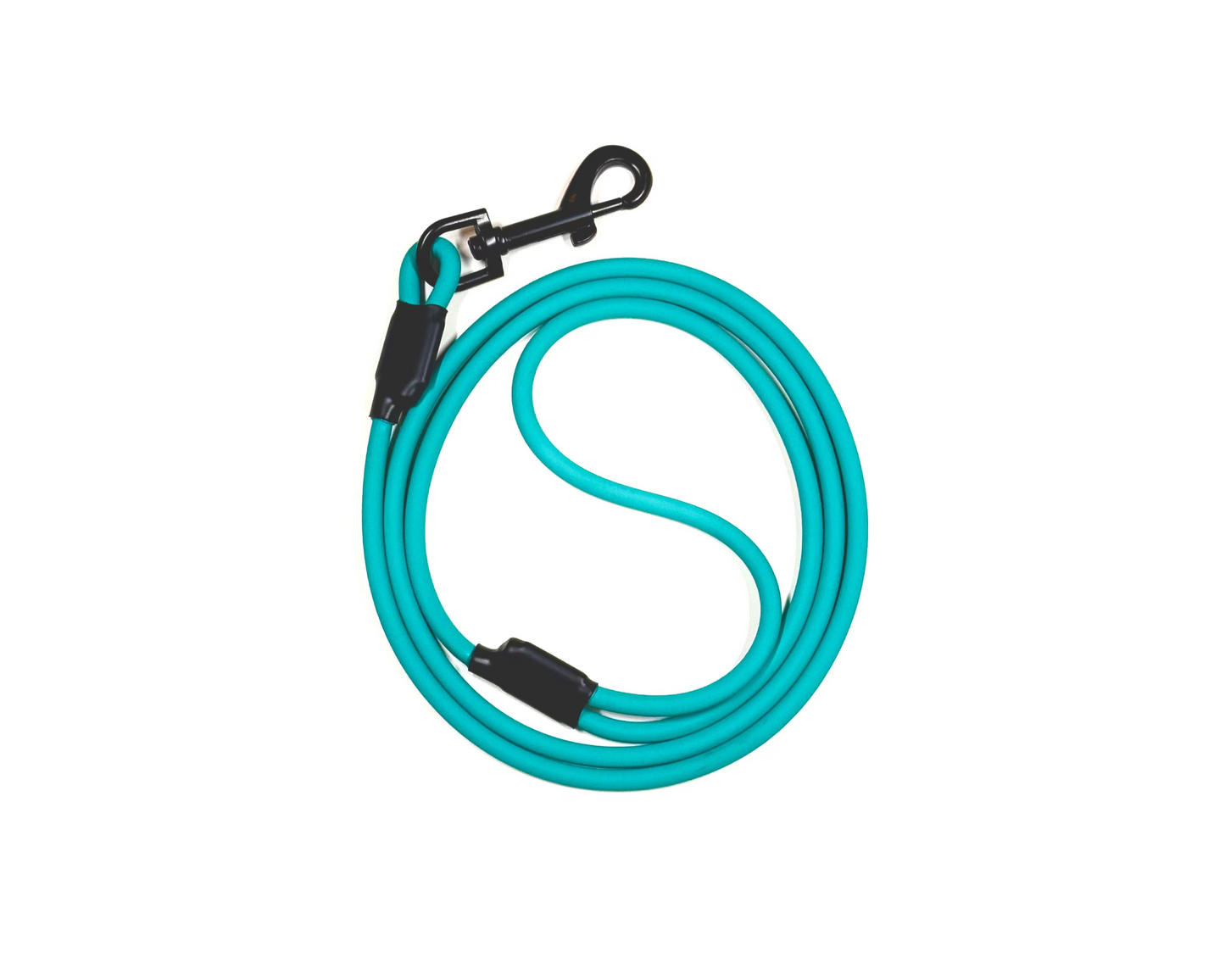 The Training Leash