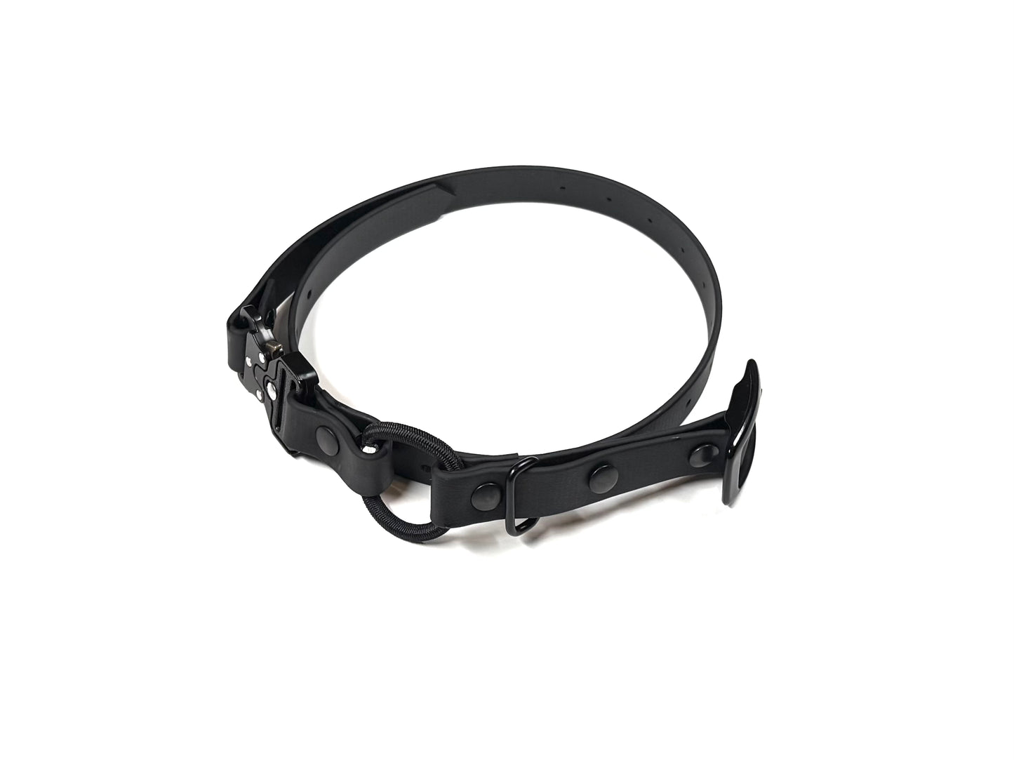 The E-Collar Strap 2.0