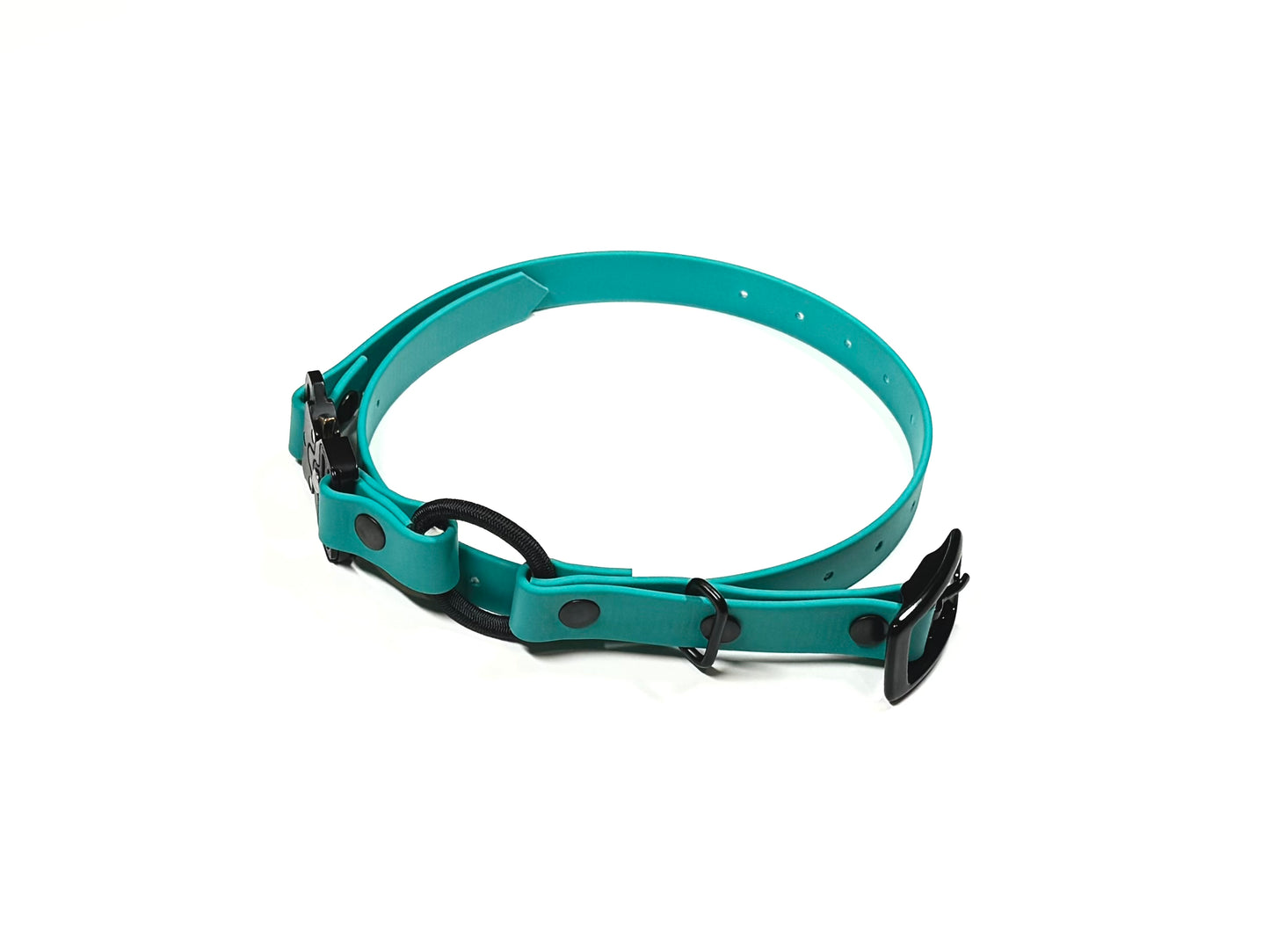 The E-Collar Strap 2.0