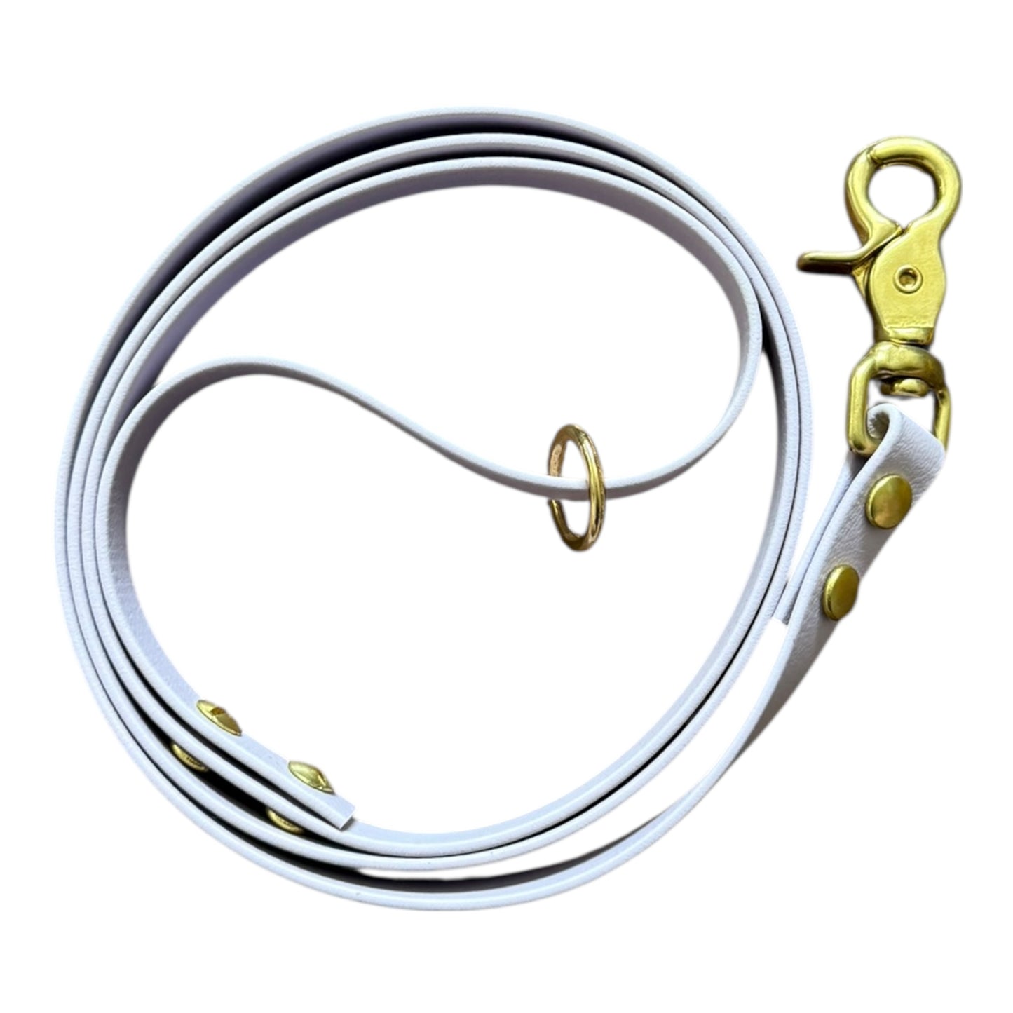 The Original Leash