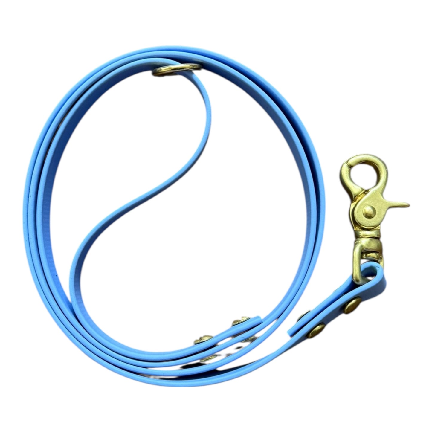 The Original Leash