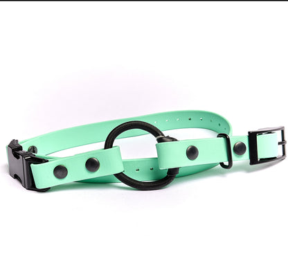 The Seafoam E-Collar Strap