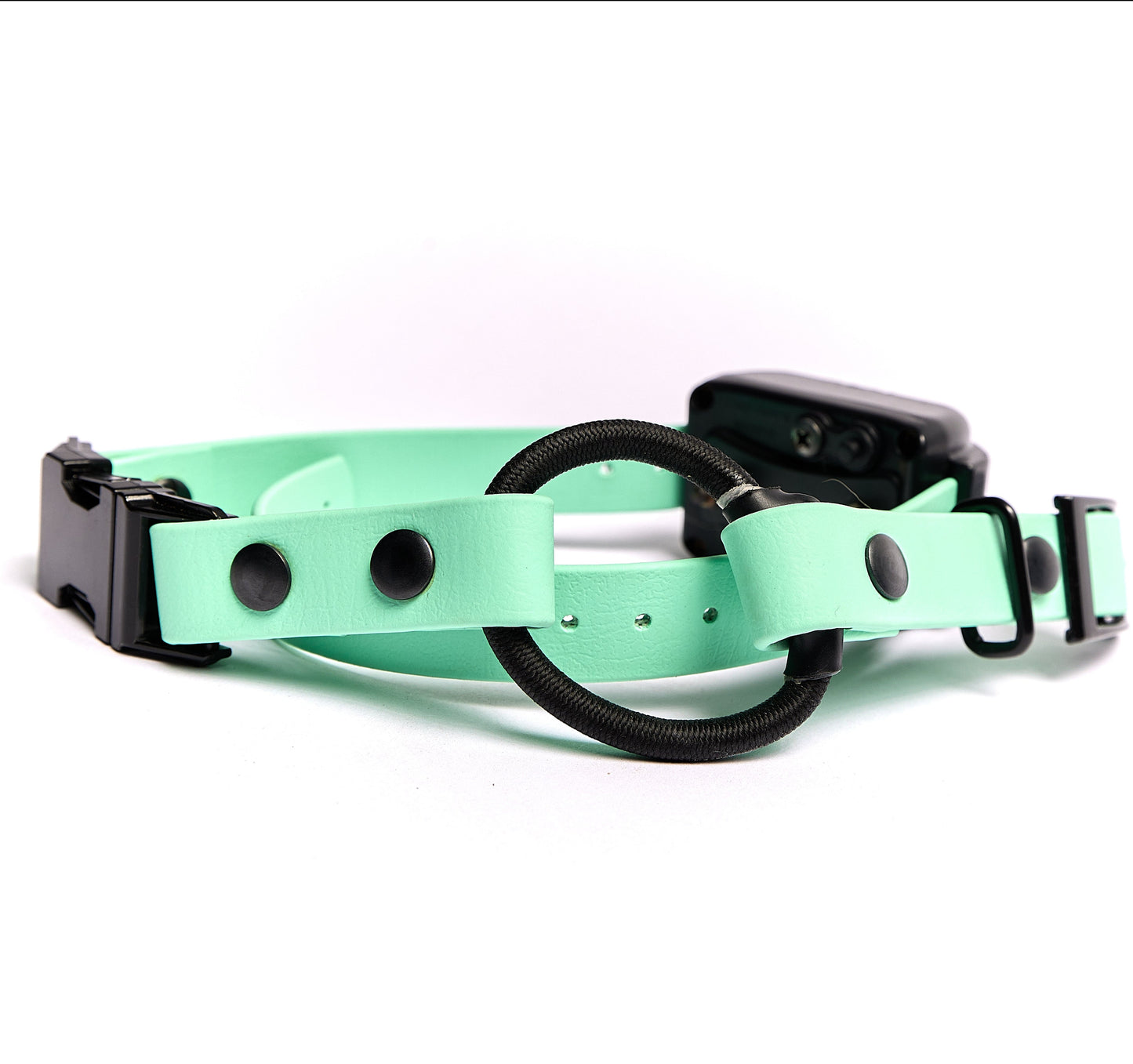 The Seafoam E-Collar Strap