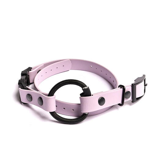 The E-Collar Strap