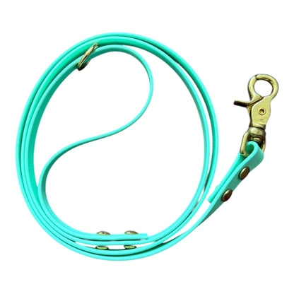 The Original Leash