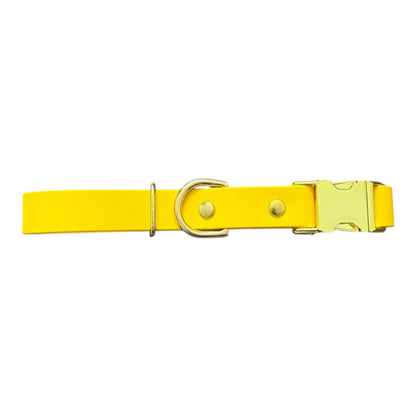 The Everyday Collar