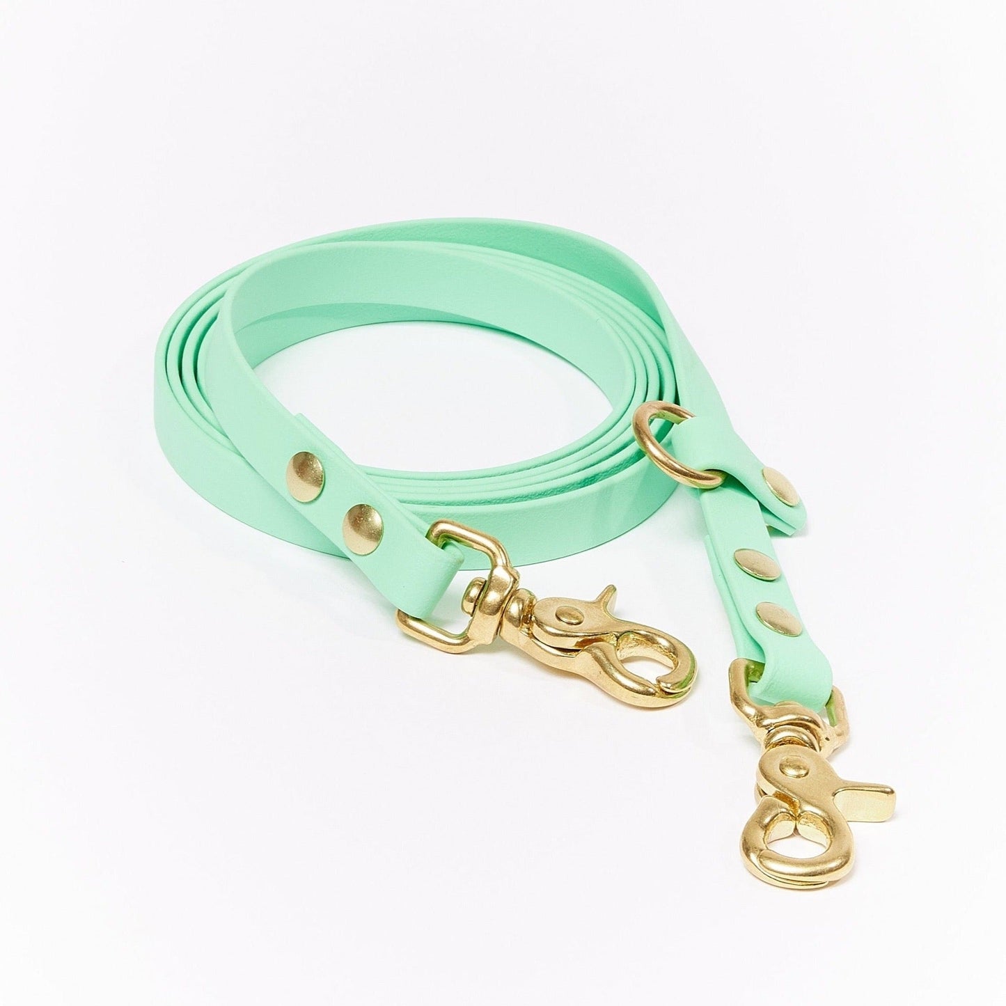 The Seafoam Handsfree Leash