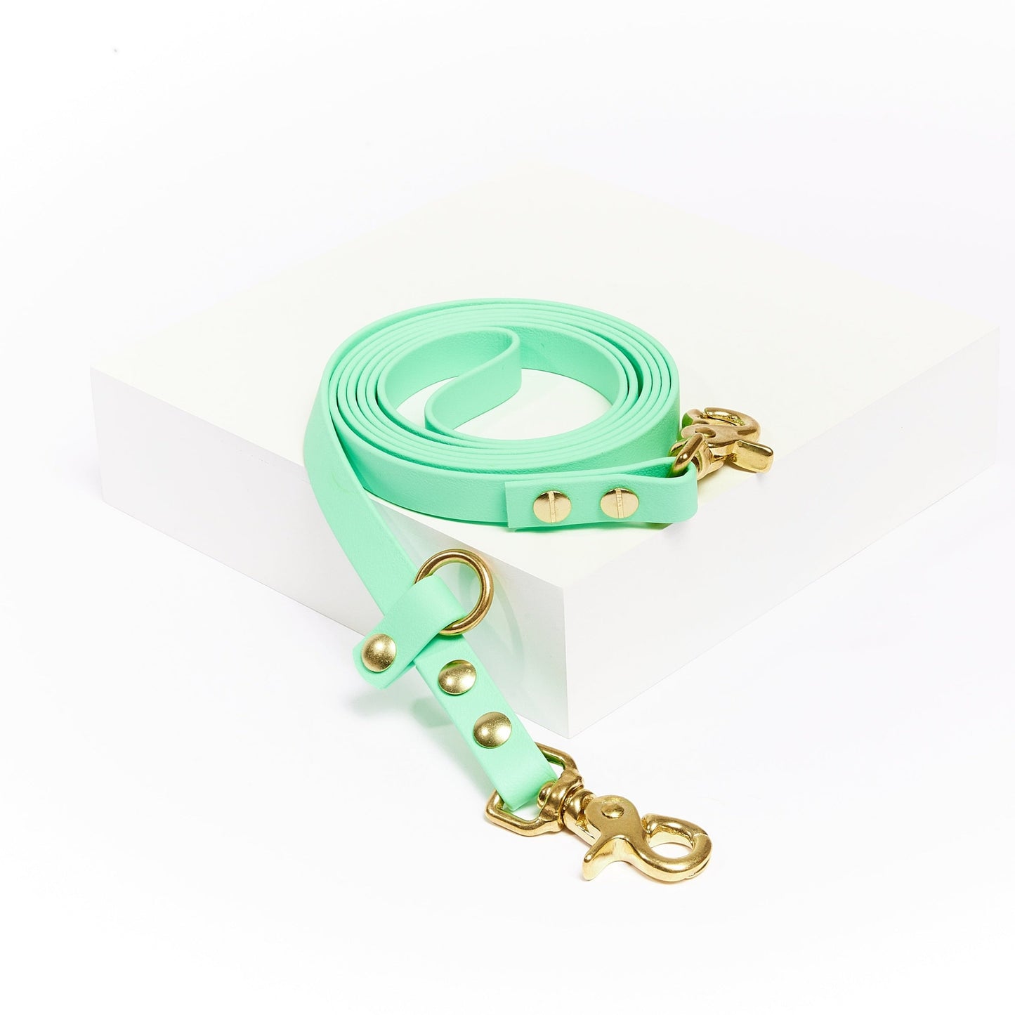 The Seafoam Handsfree Leash